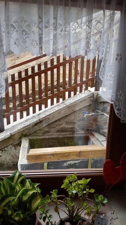 Ospitalita Diffusa Laste Dolomites - Cesa Murer Pallua Exteriör bild